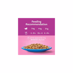 Whiskas 11+ Fish Selection in Jelly Pouches, Senior Cat Food, (1x12 x 85 g)