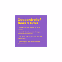 Bob Martin Clear Flea Repellent Spray for the Home, Dogs and Cats - Controls Flea and Tick Infestations in the Household (300ml)