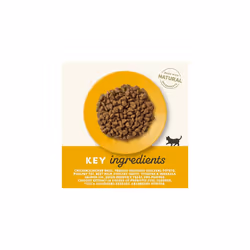 Applaws Complete and Grain Free Dry Kitten Food, Kitten Chicken for all Cats, 2 kg Bag (Pack of 1)