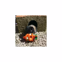 Rosewood Naturals Large Carrot Cottage for Small Animals - Edible Toy, Hay House, Den and Hideout for Rabbits, Guinea Pigs and Chinchillas