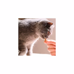 Beaphar | Dental Easy Treats | Tasty Dental Care For Cats | For Cleaner Teeth & Fresher Breath | 35g pack (Pack of 2)