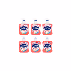 Carex Cherry On Top Anitbacterial Handwash 6x250ml