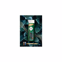 Imperial Leather Black Pepper & Cedarwood 2in1 Body Wash, 6x500ml, Signature Oil