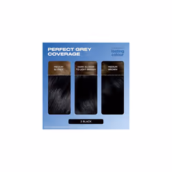 Clairol Lasting Colour Permanent Hair Dye | Ideal Grey Coverage | Shiny and Moisturised Hair | 2 Black