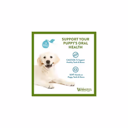 WHIMZEES Puppy Stix, Natural and Grain Free Dog Chews,Vegetable flavor Puppy Dental Sticks, 14 Pieces, Size M/L