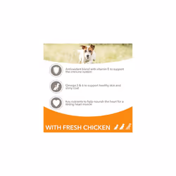 IAMS Complete Dry Dog Food for Adult 1+ Small and Medium Breeds with Chicken 3 kg(Packaging may vary)