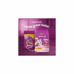 Whiskas Junior Chicken 7 kg Bag, Kitten Cat Dry Food - Pack May Vary