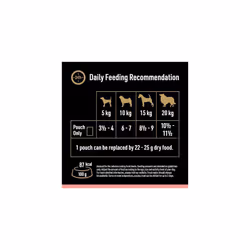 CESAR Adult Dog Pouches Sauce Selection in Gravy 40x100g