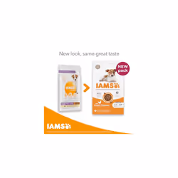 IAMS Complete Dry Dog Food for Puppy Small and Medium Breeds with Chicken 3 kg