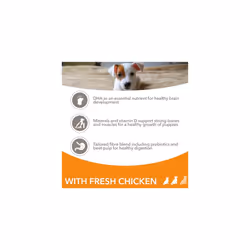 IAMS Complete Dry Dog Food for Puppy Small and Medium Breeds with Chicken 3 kg
