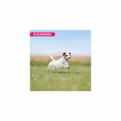 Eukanuba Complete Dry Dog Food for Adult Small Breeds with Fresh Chicken 3 kg
