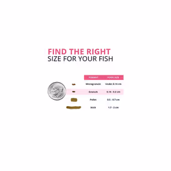 Fluval Bug Bites Colour Enhancing Fish Food, 125 g
