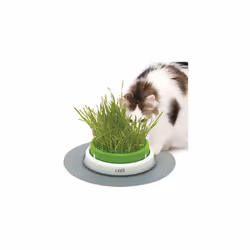 Catit Senses Grass Planter