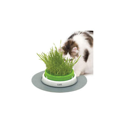 Catit Senses Grass Planter