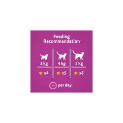 Whiskas Groom and Care - Cat Treats - Small Bite Size Snacks with Chicken Filling - 8 x 45 g