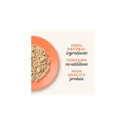 Applaws 100% Natural Adult Wet Cat Food, Chicken with Salmon in Broth 70g Pouch, (12 x 70 g Pouches)