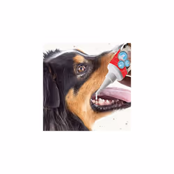 Beaphar Advanced-Enzyme Toothgel for Dogs & Cats - 100g Tube - Pack of 2