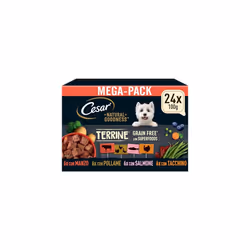 CESAR Natural Goodness Mixed Selection in Loaf 24x100g