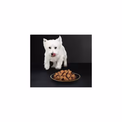 CESAR Natural Goodness Mixed Selection in Loaf 24x100g