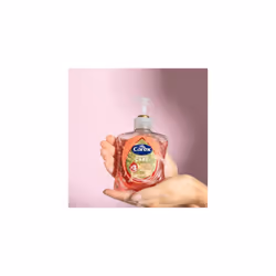 Carex Advanced Care Macadamia Oil Antibacterial Hand Wash, 3x More Moisturisers, Clean & Protect Hands, Bulk Buy, Pack of 6 x 250ml