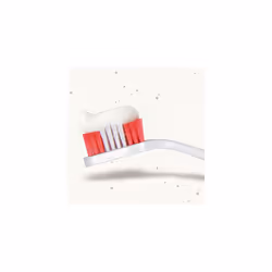 Beaphar Double-Ended Toothbrush - Dogs & Cats - Dental Care
