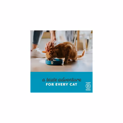Applaws Natural Wet Cat Food Tuna and Salmon in Jelly Pouch for Adult Cats 16 x 70g Pouches