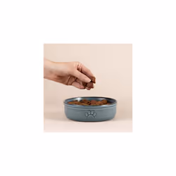 Mason Cash Reactive Paw Medium Dog Bowl, 15cm Diameter, 500ml Capacity Ideal for Medium Dogs, Durable Stoneware, Dishwasher & Freezer Safe