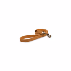 Ancol Timberwolf Leather Mustard Dog Puppy Lead Pet Leash Training Accessory, 60cm x 19mm