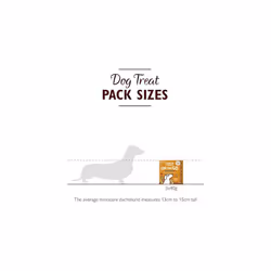 Lily's Kitchen On The Go Bar Mealtime Bar for Dogs - Natural Treat, Grain Free Treat - Chicken with Coconut & Tumeric (3 x 40g) (Pack of 2)