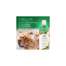 Wahl Aloe Soothe Dog Shampoo, Vegan, Sensitive Skin, 500ml