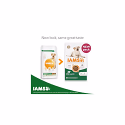 IAMS Complete Dry Dog Food for Adult 1+ Large Breeds with Lamb 3 kg