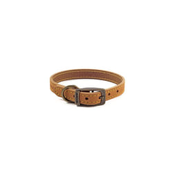 Ancol Timberwolf Comfortable Durable Leather Mustard Dog Collar Pet Training Accessory 20-26 cm, Size 1