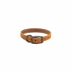 Ancol Timberwolf Comfortable Durable Leather Mustard Dog Collar Pet Training Accessory 20-26 cm, Size 1