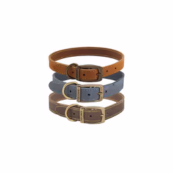 Ancol Timberwolf Comfortable Durable Leather Mustard Dog Collar Pet Training Accessory 20-26 cm, Size 1