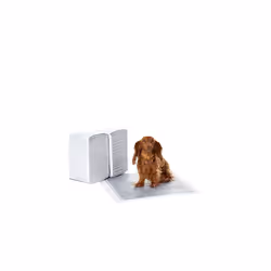 Amazon Basics Carbon Odour-Control Dog and Puppy Training Pads, Leakproof with Quick-Dry Surface, Regular, Pack of 120, Grey