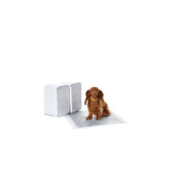 Amazon Basics Carbon Odour-Control Dog and Puppy Training Pads, Leakproof with Quick-Dry Surface, Regular, Pack of 120, Grey
