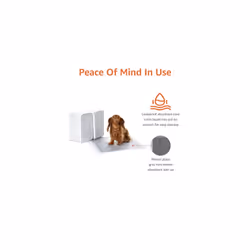 Amazon Basics Carbon Odour-Control Dog and Puppy Training Pads, Leakproof with Quick-Dry Surface, Regular, Pack of 120, Grey
