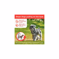 Beaphar Gentle Leader Head Collar, Small Dogs, Stops Pulling