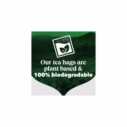 PG Tips Original | Black Tea Bags | Refreshing, Flavourful & Full-Bodied | Perfect Flavour Release | 80 Plant Based Biodegradable Teabags
