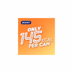 Boost Iced Coffee Caffe Latte - 12 x 250ml