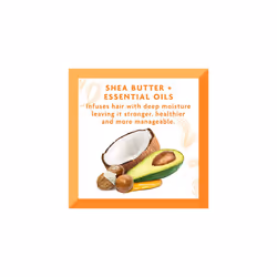CANTU, Shea Butter for Natural Hair Moisturizing Twist Lock Gel, 370g & Shea Butter Coconut Curling Cream, 340 g