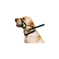 Ancol Weatherproof Nylon Black Training Halter Head Collar Animal Pet Training Accessory, Xlarge