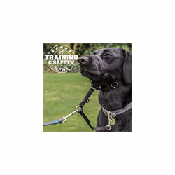 Ancol Weatherproof Nylon Black Training Halter Head Collar Animal Pet Training Accessory, Xlarge