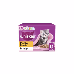 Whiskas Junior Poultry Selection in Jelly 48 x 85 g Pouches, Kitten Cat Food, Pack of 4 (12 x 85 g)