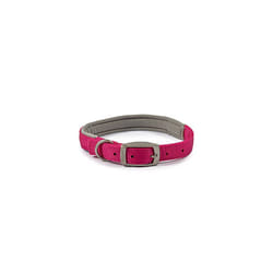 Ancol Heritage Padded Nylon Collar, 55 cm, Raspberry, transparent