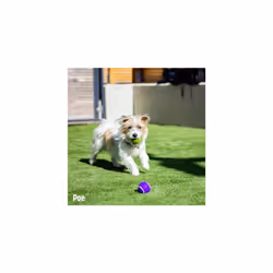 Rosewood Battersea Tennis Balls Dog Toys, 3PCS, Blue & Green, 6.5cm x 6.5cm - Durable, Engaging and Fun Balls for Fetch & Play with All Dog Breeds