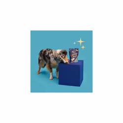 Lily's Kitchen Christmas Bedtime Biscuits with Natural Ingredients - Adult Dog Treats Packet (8 Packs x 80g)