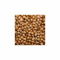 Rajah Dhaniya Whole Coriander Seeds, 50g