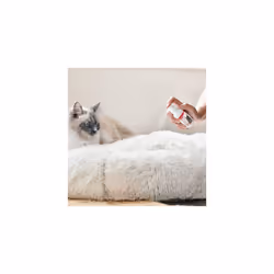 Beaphar CatComfort Calming Spray, Anxiety Relief, 30ml