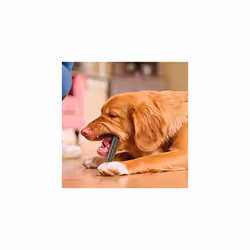 Beaphar Dental Sticks for Large Dogs (Pack of 2)